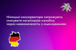 німецькі консерватори загрожують скасувати легалізацію канабісу